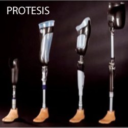 protesis (Custom)